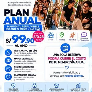PLAN - ANUAL - SOLES