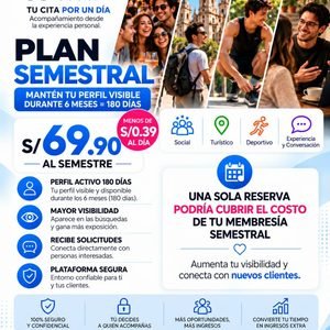 PLAN - SEMESTRAL - SOLES
